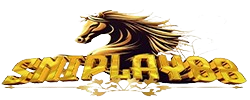 haholongan.com